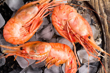 shrimp with ice on a dark background