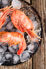 shrimp with ice on a dark background