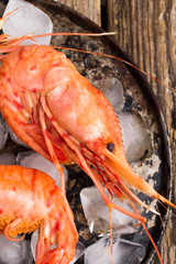 shrimp with ice on a dark background