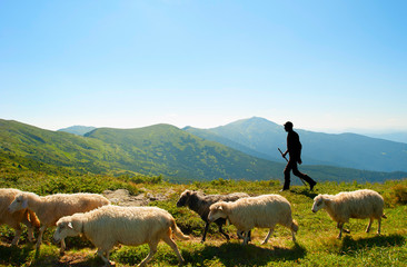 Herdsman in the mountains