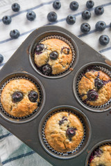 Blaubeer Muffins