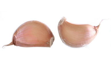 Garlic isolated on white