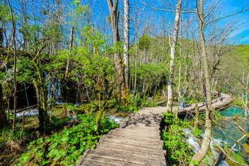 Plitvice Lake, Croatia with forest and waterfalls
