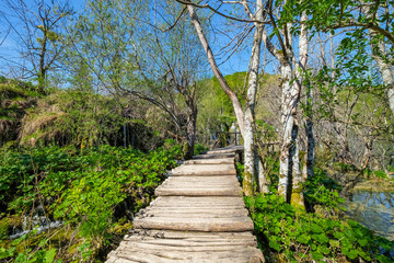 Plitvice Lake, Croatia with forest and waterfalls