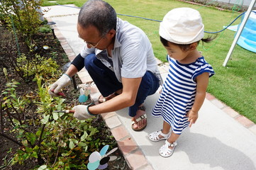 祖父の庭仕事を見つめる孫娘