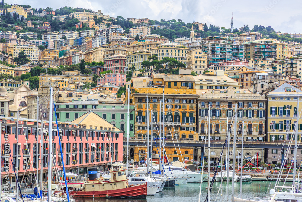 Wall mural genoa port sea view with yachts