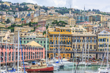 Genoa port sea view with yachts