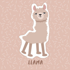 Llama : Cute Animal Set :  Vector Illustration