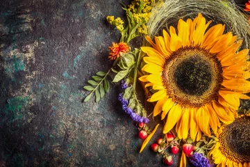 Poster Sunflowers with berries and flowers. Floral autumn decoration on dark rustic vintage background, top view, border © VICUSCHKA