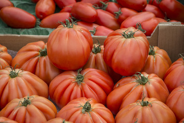 Various types of tomatoes are sold in the market.