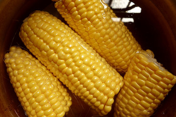 corn