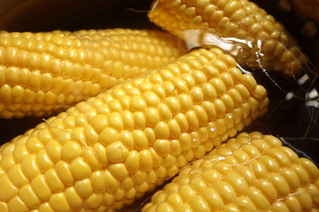 corn