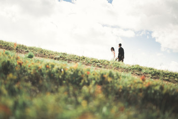 Fototapeta premium Kissing wedding couple staying over beautiful landscape