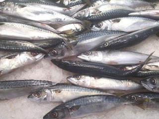  The Saba fish in a market