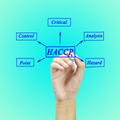 The meaning of HACCP concept (Hazard Analysis of Critical Control point)  for business concept and use in manufacturing.