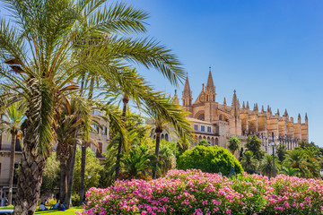 Fototapeta na wymiar Anblick Kathedrale von Palma Mallorca Spanien