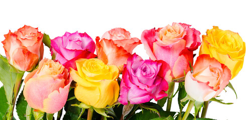beautiful bouquet colorful rose flowers with dew is isolated on