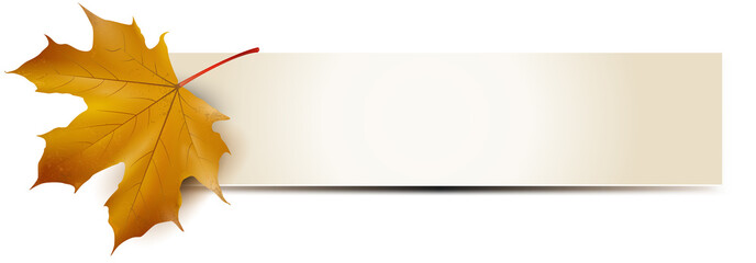 Banner mit Ahornblatt, Vorlage