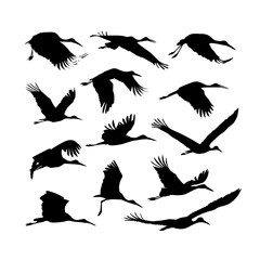 Obraz premium Storks birds silhouettes set.