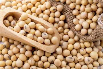 closeup is some soybeans