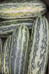 Marrow Vegetable Background