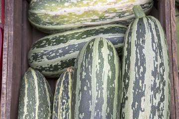 Marrow Vegetable Background
