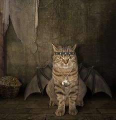 A cat has a wings. It looks like a bat.