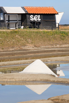 Marais salants de France