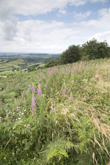 Fototapeta premium Sutton Bank Landscape, North York Moors