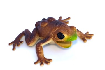 Frog toy on white background