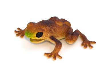 Frog toy on white background