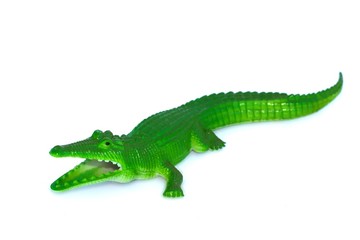 Crocodile toy on white background.