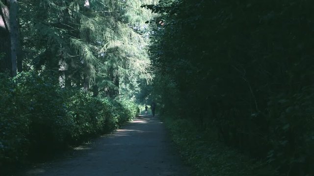 Summer morning park walkway with men running and tailing away. Trees slanting rays. 

