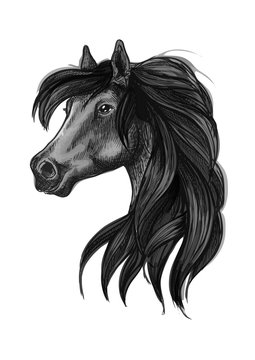 Black arabian horse head symbol