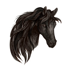 Black horse head watercolor portrait