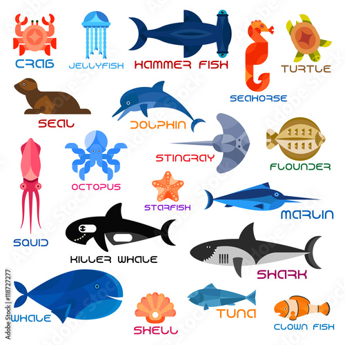 Fototapete Oceanarium Ocean Animals And Fishes With Names Fototapeten Vector Tradition