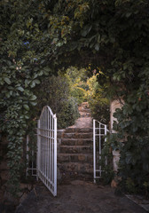 Garden Gate and Arched Vegetation, Path.