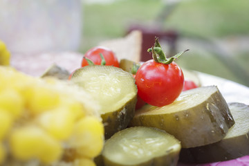 Fresh crop snack with fresh vegetables