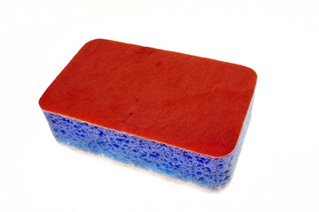 Sponge red and violet isolated