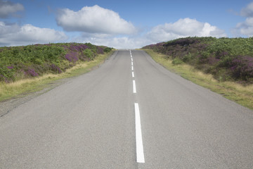Open Road in North York Moors; Yorkshire; England