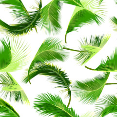 seamless coconut tree leaves pattern. palm leaves vector