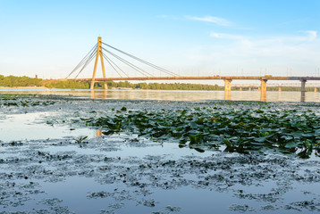 View of the Moskovsky  Bridge in Kiev