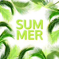 Obraz premium summer background with coconut tree leaves, natural vector