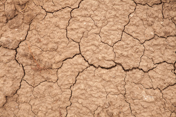 dry cracked earth. background