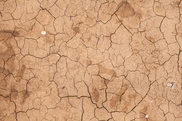 dry cracked earth. background
