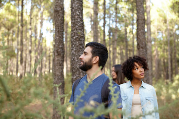 Thoughtful friends on a forest stroll