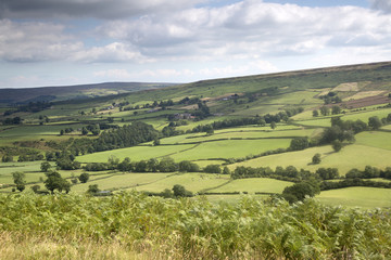 Fototapeta na wymiar North York Moors outside Hutton le Hole Village; Yorkshire