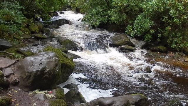 Torc Falls, Killarney National Park, Ireland