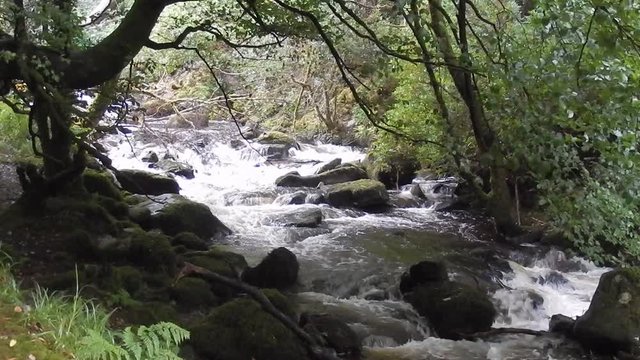 Torc Falls, Killarney National Park, Ireland