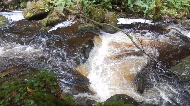 Torc Falls, Killarney National Park, Ireland